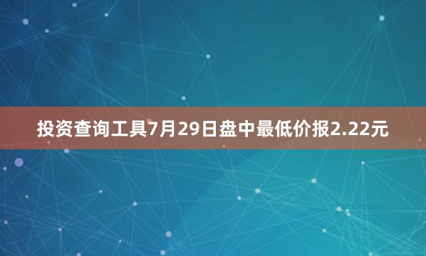 投资查询工具7月29日盘中最低价报2.22元