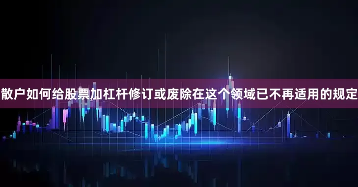 散户如何给股票加杠杆修订或废除在这个领域已不再适用的规定
