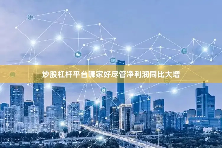 炒股杠杆平台哪家好　　尽管净利润同比大增