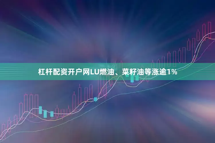 杠杆配资开户网LU燃油、菜籽油等涨逾1%