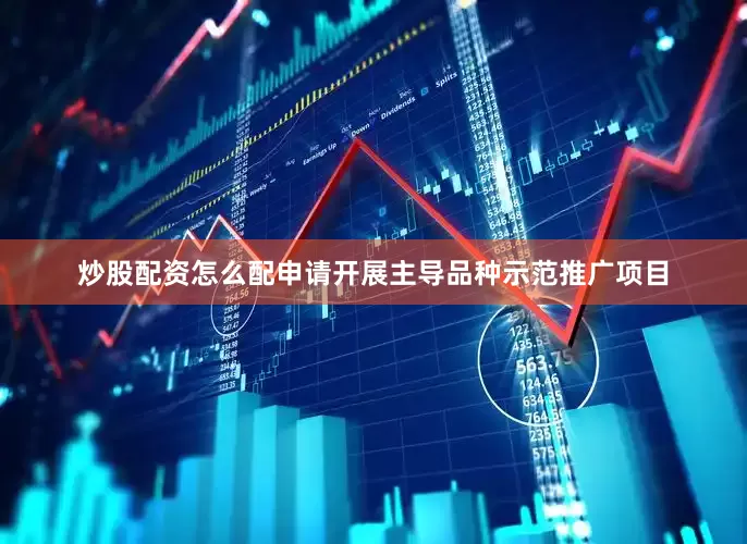 炒股配资怎么配申请开展主导品种示范推广项目